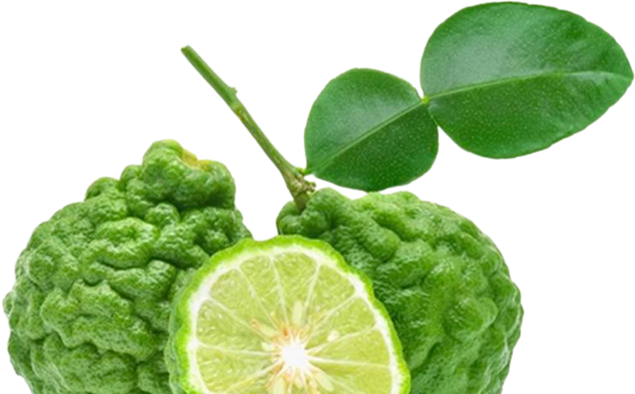 Product Header Image