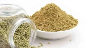 Fennel Powder